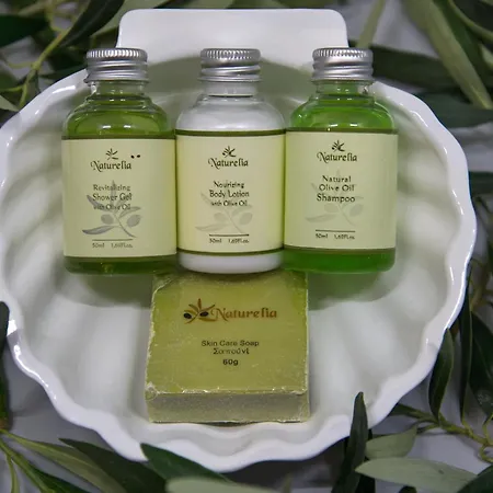 Meltemi Excelsior Hotel